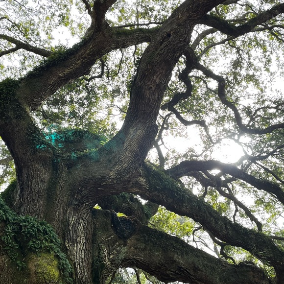 Meet your Posher, Natalie - Picture 1 of 1